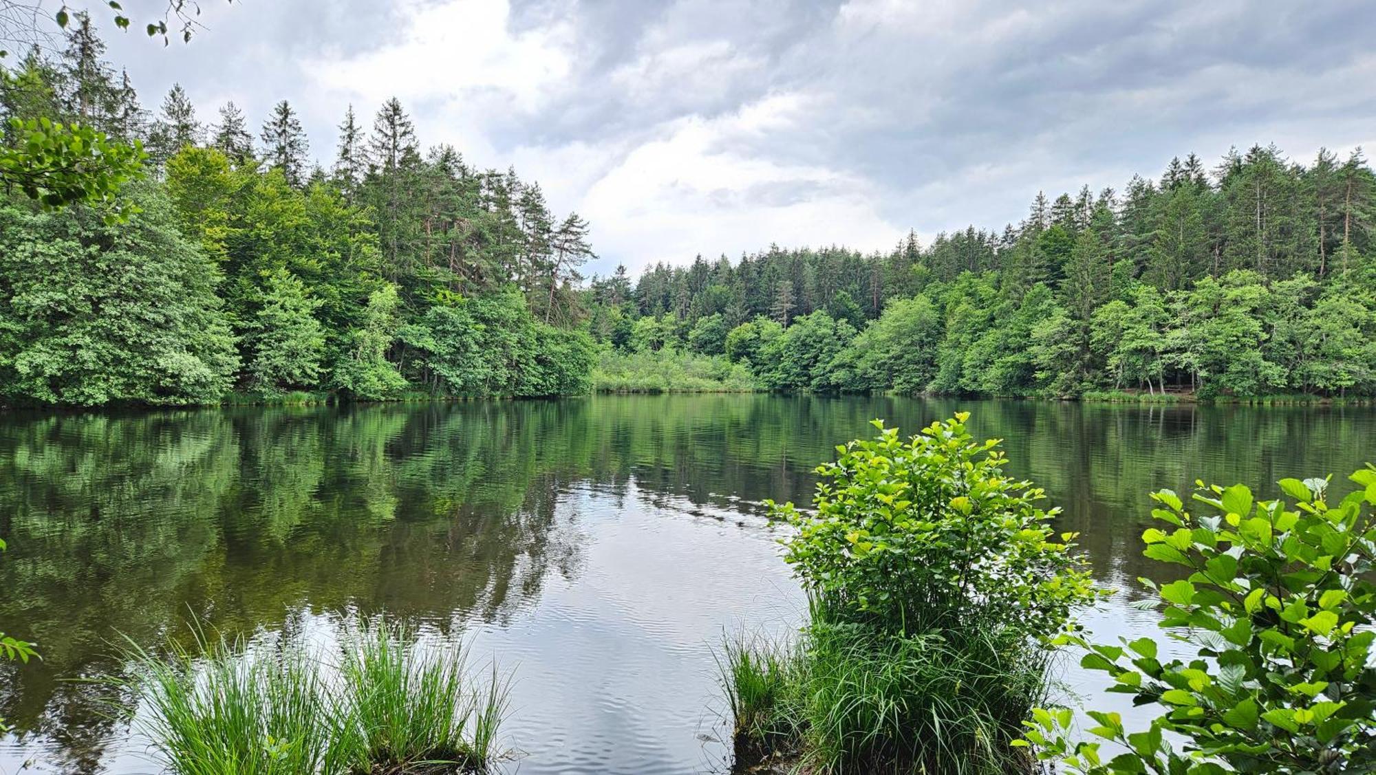 "Casa Antonio" 3 Gehminuten Strandbad Sekirn, Inkl Seezugang المظهر الخارجي الصورة