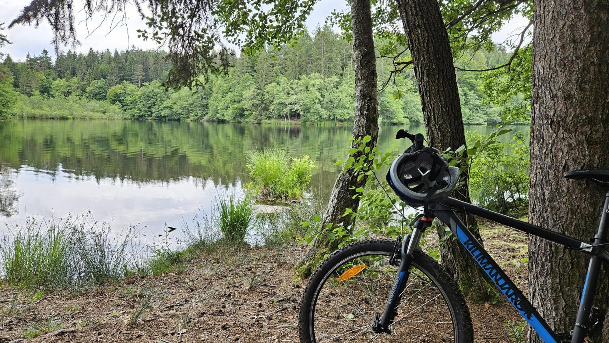 "Casa Antonio" 3 Gehminuten Strandbad Sekirn, Inkl Seezugang المظهر الخارجي الصورة