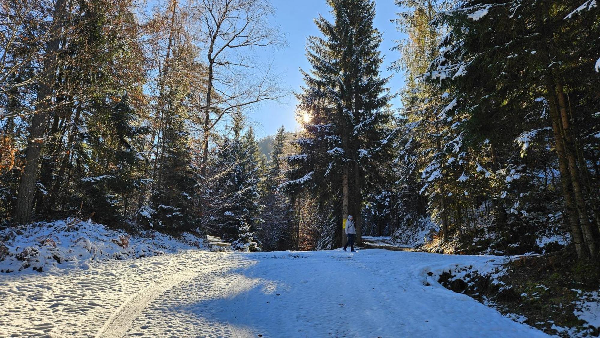 "Casa Antonio" 3 Gehminuten Strandbad Sekirn, Inkl Seezugang المظهر الخارجي الصورة